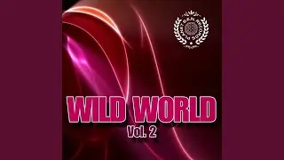 The Crystal Wall (Wega Remix)