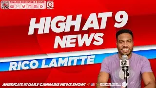 High At 9 News : Rico Lamitte - Cubs to sell CBD drinks at Wrigley Field in MLB first