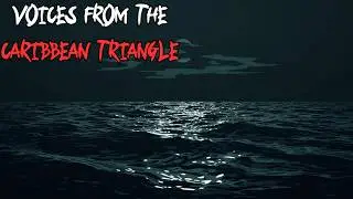Voices from the Bermuda Triangle | Long Psychological Horror for Sleep