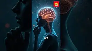 Unlocking the Mysteries of Neuroscience