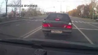 Собаки переходят дорогу по пешеходному переходу. Dogs cross the road at a pedestrian crossing