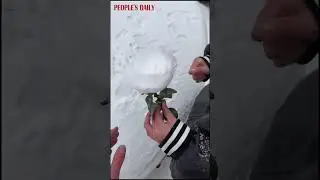 Do you want to make a snow rose?
