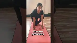 Horse pose #yoga #balance #shortsvideo #viral #subscribetomychannel #shorts #youtubeshorts