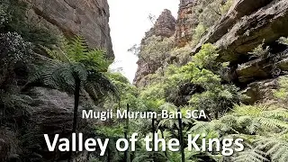 Valley of the Kings, Mugii Murum-Ban, NSW