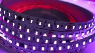 DMX SMD5050 RGBW LED Strip Light | 96 LEDs per Meter
