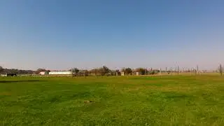 11-5-23 Camels, Mini Horses, Deer and a Trout Farm, Amish Buggy's and Planes part 9