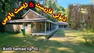 Danoi Forest Rest House | Danoi Forest Kotli Sattian | #lenstoday