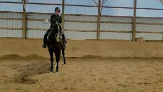 Approaching things differently: Is my horse lacking confidence? (Part 1 of 4)