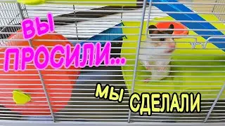 Большая Клетка Для  Хомяка АСИ. Новый Дом Сирийскому Хомяку