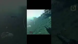 Call of Duty - крыса под камнем #warzone #gameplay #rat #bug #callofduty
