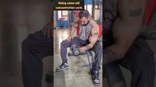 Cable concentration curls are an isolation exercise that targets your biceps brachii.