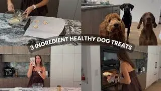 3-Ingredient Dog Treats You Can Make at Home (Healthy & Easy)