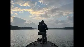 What are the top baits I expect to throw in October 2025