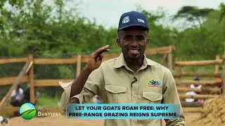 Free-Range Freedom: Tastier Meat, Happier Animals#ypagoats