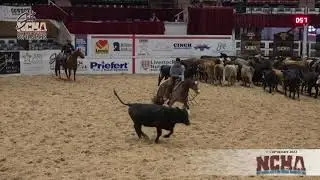 Next Stopp Cowtown and Ryan Rapp win at NCHA Super Stakes