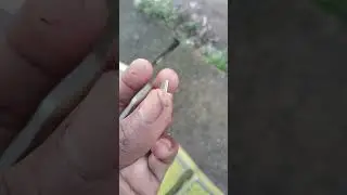 type c otg cable unboxing and review most expensive price of otg cable