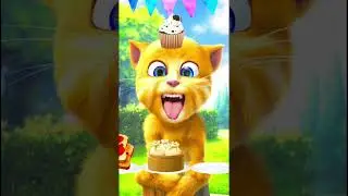 Talking Ginger funny videos || 🙀🙊👻🤓
