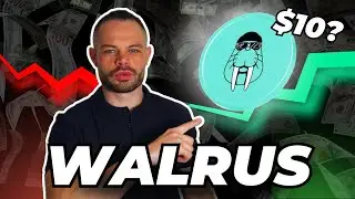 Walrus Protocol Is The FUTURE of Decentralized Storage!