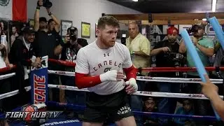 Canelo Alvarez Working Reflexes, Looking Ripped in Workout ahead of Chavez Jr fight