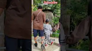 Monkey in Jack's in the Sky resort in Davao City