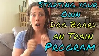 Guide to starting your own dog board and train program
