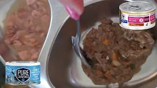 My Cat's Favorites Hill's Biome Stew & Pure Cravings Tuna | Review