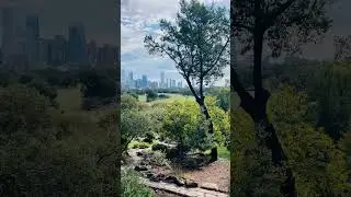 View of #Austin skyline from Zilker Botanical Garden 🏙️ #zilkerpark #atx #atxlife #austintexas
