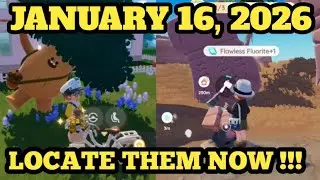 Heartopia | January 16, 2026: ROAMING OAK TREE LOCATION TODAY &  FLAWLESS FLUORITE LOCATION TODAY