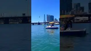 Pedal Boating Darling Harbour Sydney #australia #waterplay #boatingexperience #summerfun #boatrace