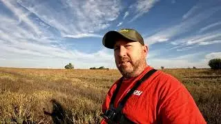 Pheasant Hunting