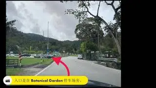 Hiking Penang Bukit Cendana From Botanical Garden Trail #789