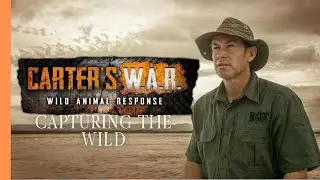Carter's War - Wildlife Trade in Africa: Capturing, Buying, Selling | Wildlife Documentary