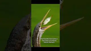 Captivating World: Exploring the Most Intriguing Photos