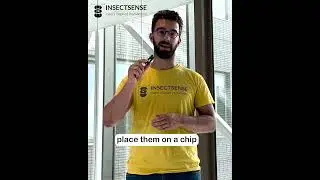 Objective measurement of taste and smell by ReceptomiX - InsectSense