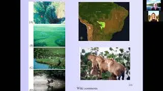 Freshwater Ecology: Freshwater Ecosystems.  Chapter 24 part d