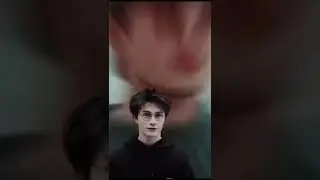 [Gryffindors]📚🪄