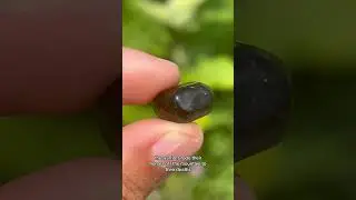 The Lore of Apache Tears Obsidian!! #crystals #obsidian #crystalshop #lore #crystalmagic #crystallor