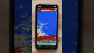 STRIKER&trade; Cast | Garmin Support Shorts