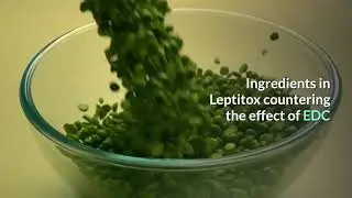 Leptitox Reviews, does it work, side effects, diet, weight loss, results, how to use, diet pills