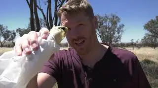 TEMORA Roundabout Bakery The Food Dude with Alo Baker