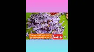 The most expensive spice in the world#Saffron#food#shorts#flowers_Saffron#Color#How to make saffron