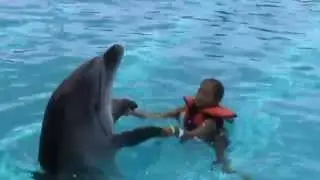 Alanya , Swiming with dolphins 2015