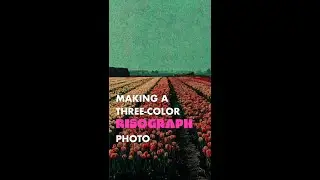 How to Make a 3-Color Risograph in Procreate