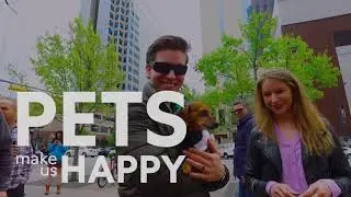 Mars Petcare Celebrates and Supports Pet-Friendly Cities