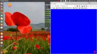 Live-Server package installation via npm (link to the github in the description)