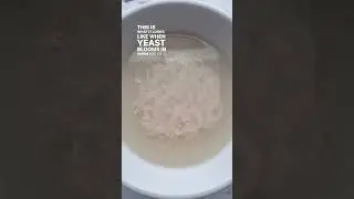 Наблюдаем за цветением дрожжей 🤩