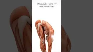 Morning Mobility Exercise | Full Body Activation #fitness #workout #shorts