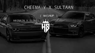 Tutor X Sultaan ( Mashup ) 🎶🎧                           