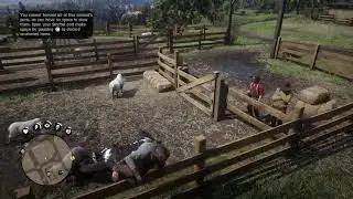 Offensive Behavior