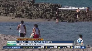 Beach cleanup efforts